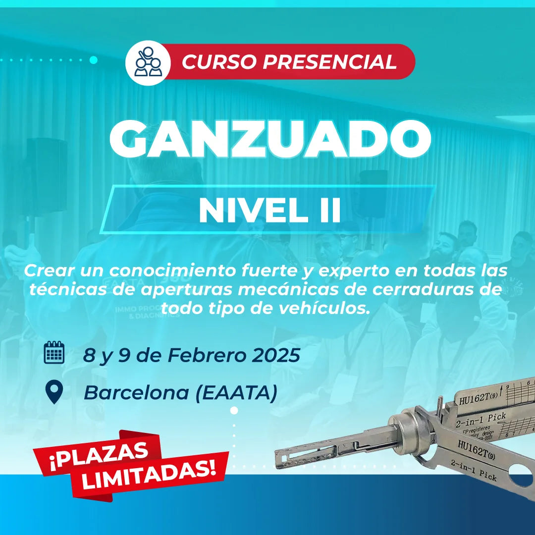 Ganzuado - Curso ganzuado (Nivel 2)